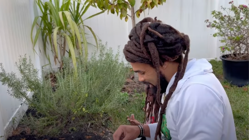 Starting a lettuce garden: Using seeds from last year…