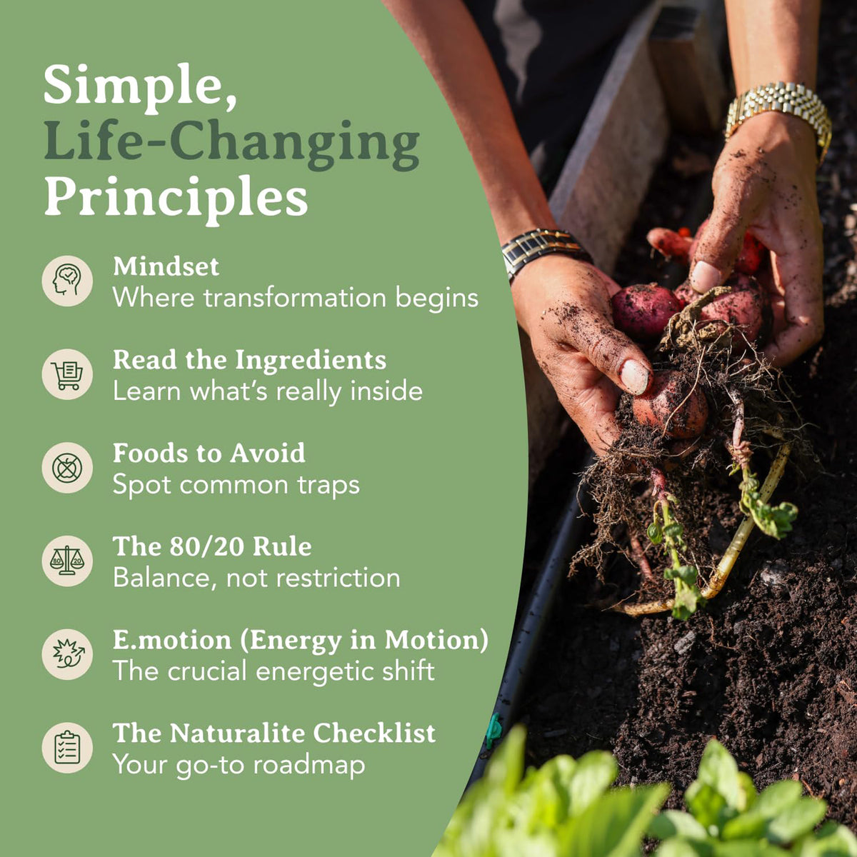 Life Matters So Let's Eat Like It