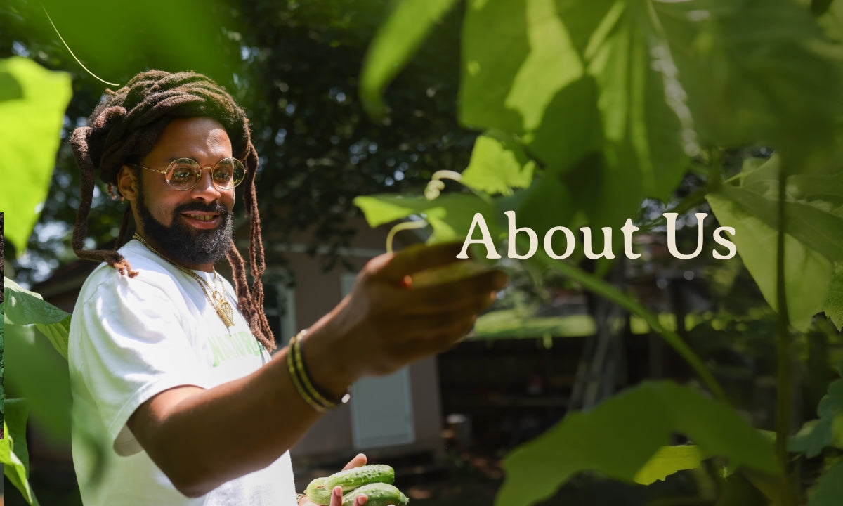 About Us - Naturalite