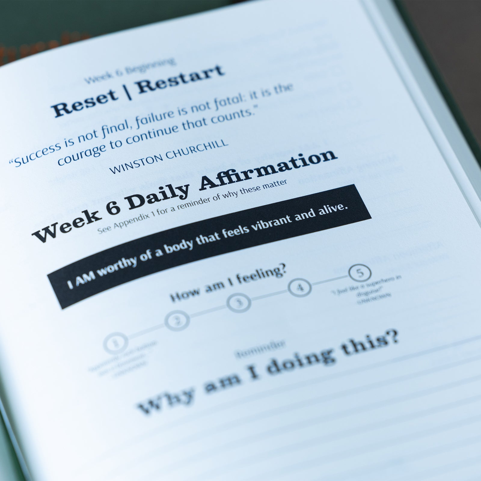 The Naturalite™ Guided Weight Loss Planner (4 Pack - 1 Year Supply)