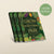3 Book Gift Bundle - The More We Grow The More We'll See Everything We Need Is Free